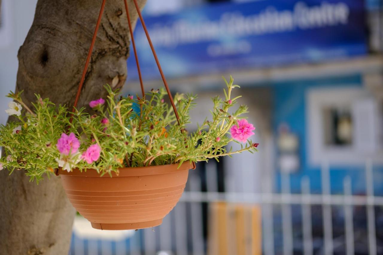 Hotel Vila Conte Veli Losinj Exterior photo