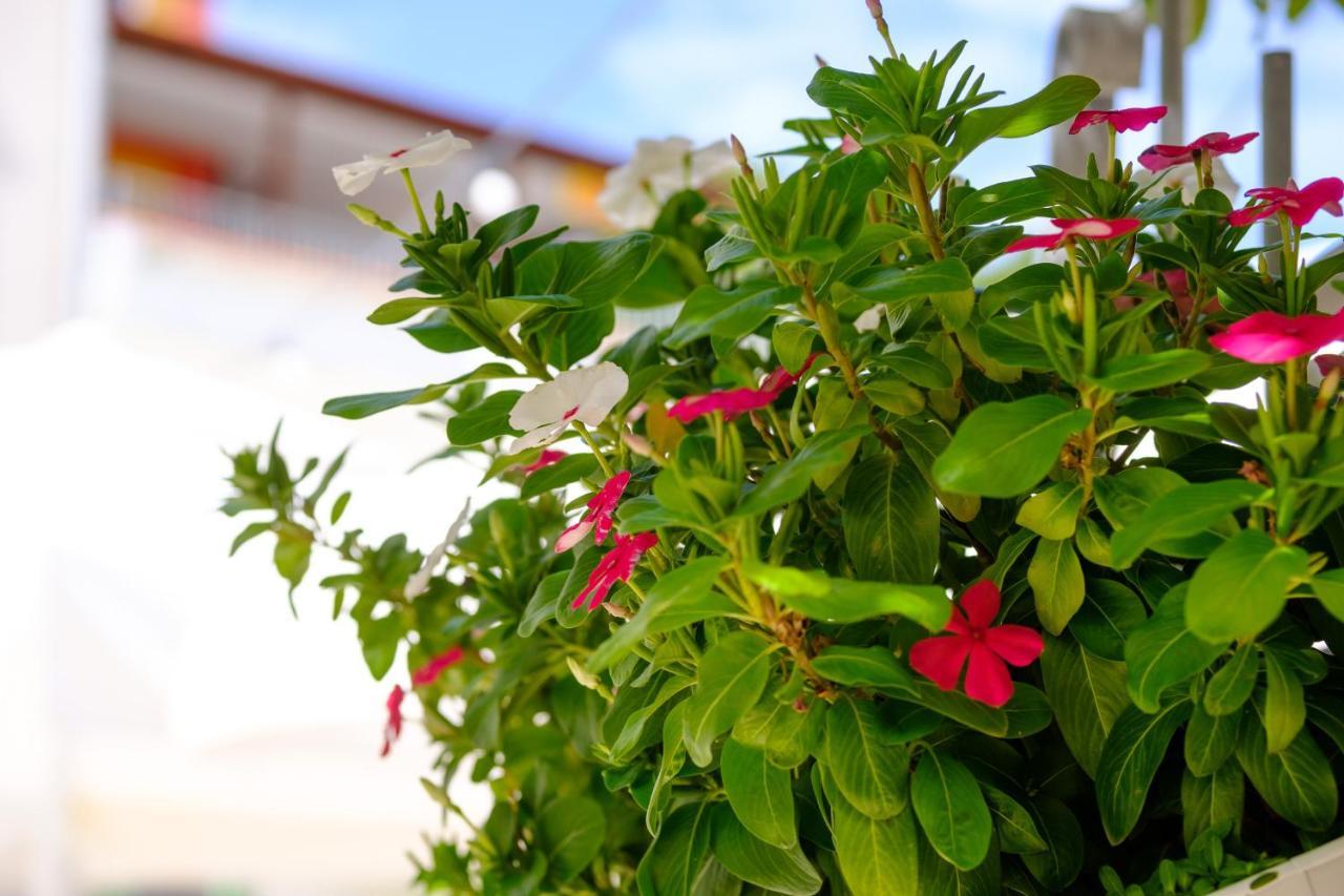 Hotel Vila Conte Veli Losinj Exterior photo